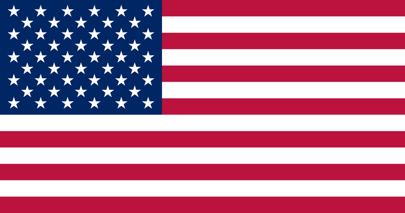 File:Flag usa.webp